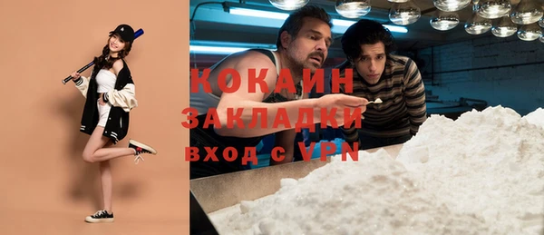 таблы Бородино