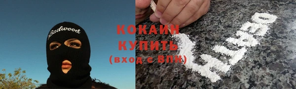 ECSTASY Богородицк