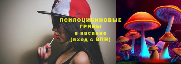 гидропоника Губаха