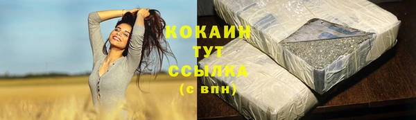 ECSTASY Богородицк