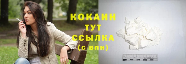 ECSTASY Богородицк