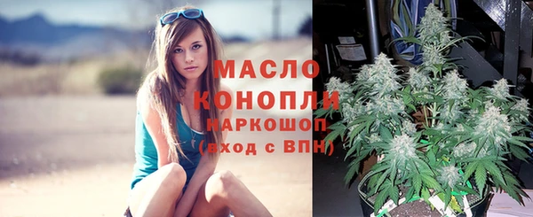 дживик Бронницы