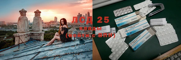 ECSTASY Богородицк