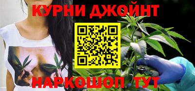 сатива Гатчина